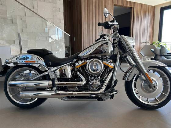 HARLEY-DAVIDSON FAT BOY GRAY GHOST 